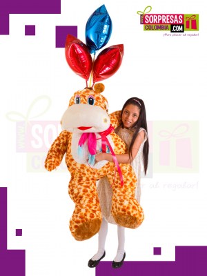 peluches a domicilio
