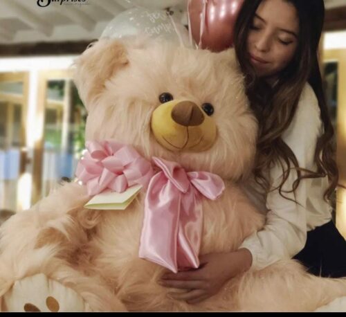 oso de peluche a domicilio
